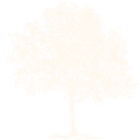 John Mark Kane logo