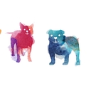 Live Love Animal Rescue logo