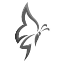 Graceful Web Studio logo