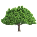 Green Valley Mortuary & Cemetery logo