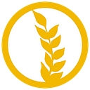 Wisdom Health and Wellbeing logo