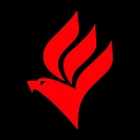 Academia Gaviões 24h logo