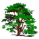 Branching Out Tree & Garden Services logo