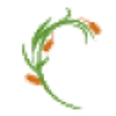 ICASI logo