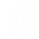 Vidalia Recreation Department logo
