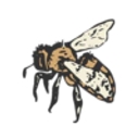 Behind the Oaks Farm logo