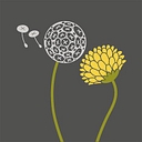 2 Dandelions Bookshop logo