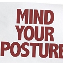 VerticAlign Posture and Ergonomics logo