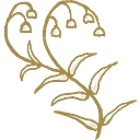 Firefly Events logo