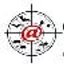 AllPest Pest Control logo