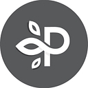 Perfect Image logo