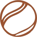 API Tennis logo