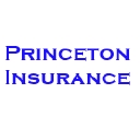 Princeton Insurance logo