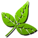 The Green Goddess logo