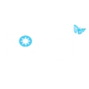 Nortex logo