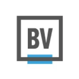 brandverity.com favicon