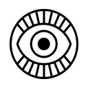 Little White Lies logo