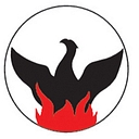 Phoenix Air Medical logo