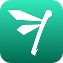 Flapper logo