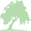 Paper in the Park logo