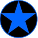 Blue Star Security LLC logo