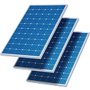 Black Bear Solar logo