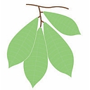 Cincinnati Permaculture Institute logo
