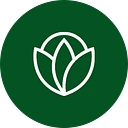 Dayton Mom Collective logo