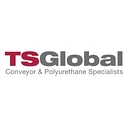 TS Global logo