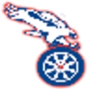 Team Power Tires logo