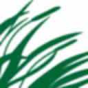 Lucerne Farms logo