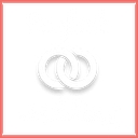 Natalie Sofer Weddings and Events logo