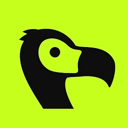 dodopayments.com favicon