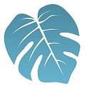 SoFloWeb logo