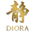 DIORA World logo