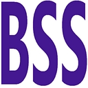 Business Success Solution logo