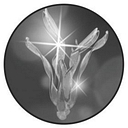 Rocco Borghese logo