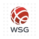 World Services Group logo