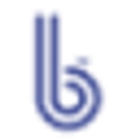 B Condoms logo