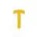 Trooper Security Specialist logo