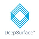 DeepSurface RiskAnalyzer logo