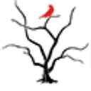 Phyllis Burchett Photo logo