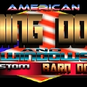 American Sliding Rooler Replacement San Pedro CA logo