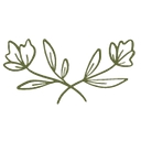 1canoe2 logo