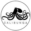 Calibunga Surf Lessons logo