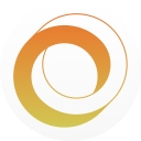 WiseBridge Consulting logo