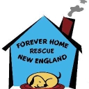 Forever Home Rescue New England logo