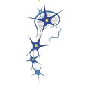 Neurology Office logo