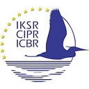 ICPR logo