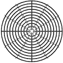 Copner Biotech logo